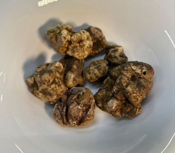 Un nuovo special event in stile Food Bar, tutto dedicato al Tartufo