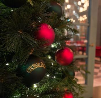 Scoprite le cene di Natale, di Capodanno e le altre iniziative che Cibrèo ha creato per voi!