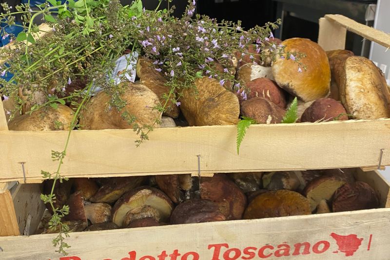 FUNGHI MAGICI... di Halloween!