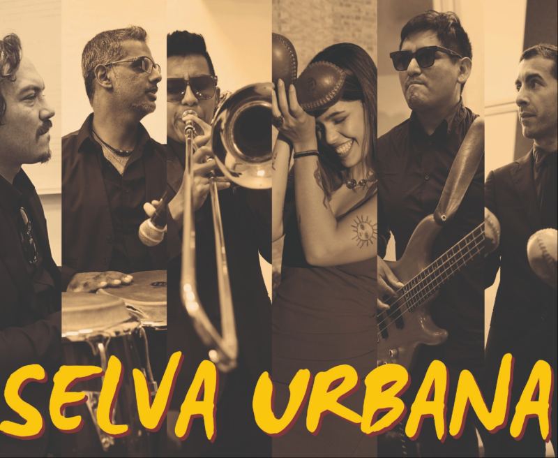 Latin Groove Night